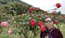 朗诵中的酸辣苦甜