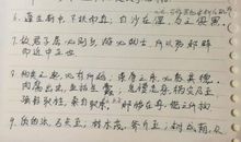 做一个读者作文600字