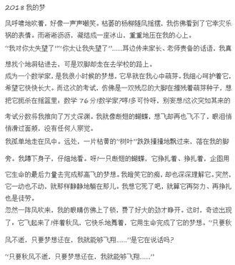 有这样一种声音高中800字作文