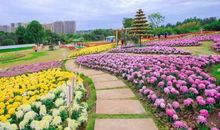 美丽的曼花庄园