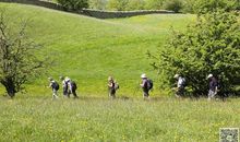 跟妈妈一起踏青