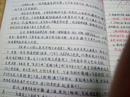 这是最美丽的风景组成