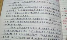 那是最美丽的风景作文