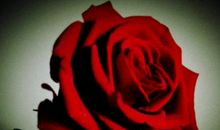 有你陪伴，便是晴天