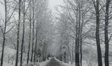 帘外一场牵挂雪