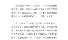 我是一片树叶作文400字