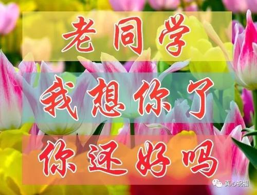 同学，我想念你。