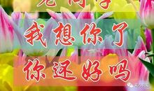 同学，我想你了