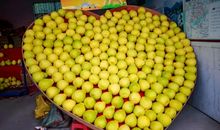 忘不了的欢呼声