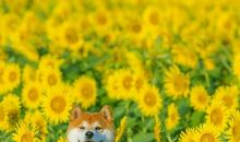 让微笑温暖你的生活