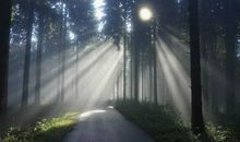 风雨中，我勇敢前行