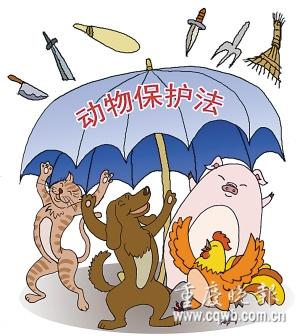 学习，了解法律，可以保护自己的法律教育