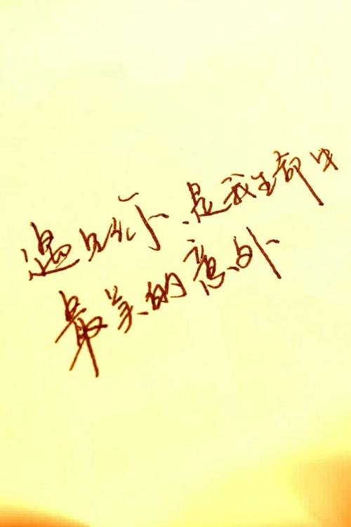 见到你，是最美丽的事故