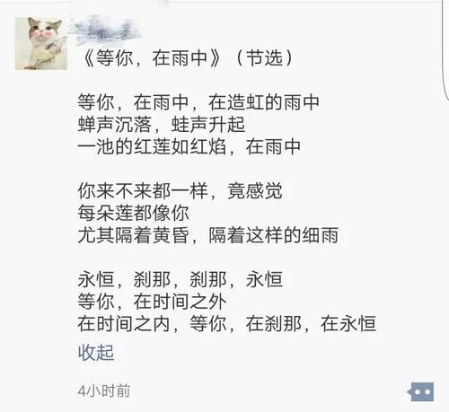 我走过小萧的冷雨