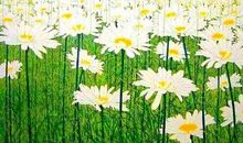 感悟平和的岁月