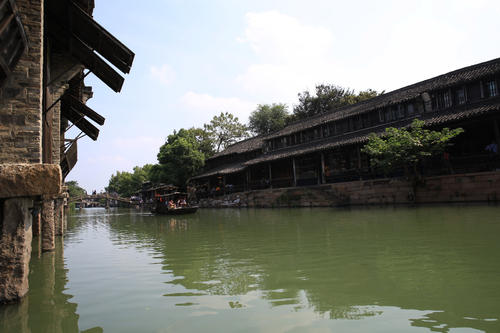 摇曳的林地