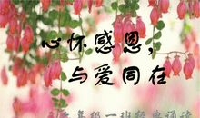 心怀感恩，爱我家乡