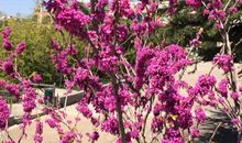 转角便春暖花开