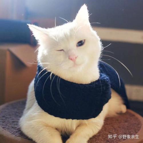 难以看出来
