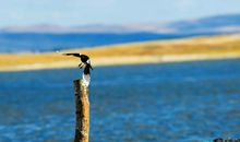 未来，我的期盼