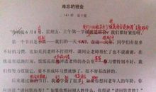 下次你会做得更好作文