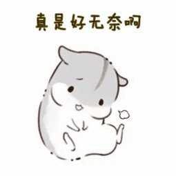 我的表情包中没有叹息。