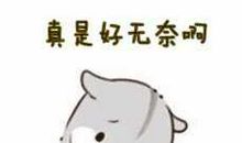 我的表情包里没有叹气