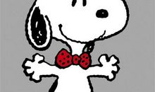 一个“特殊”的朋友