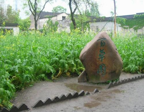 浩大的草花园