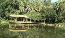 带你畅游新佛山