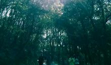 迷茫时的一盏灯