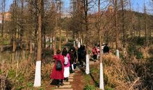 春天就在自己身边