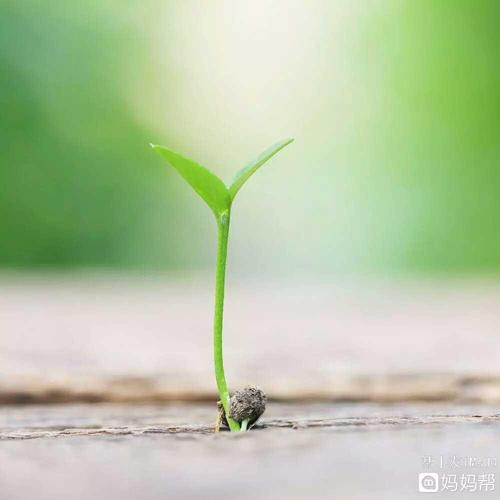在我心中祝福