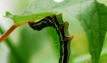 体会生命的精彩