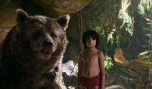 勇敢地向前拼——读《十四岁的森林》有感