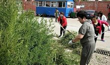 人间最美是大爱