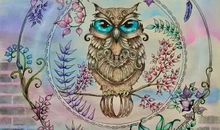 我的秘密花园——读《秘密花园》有感