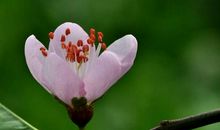 感动的源头是爱