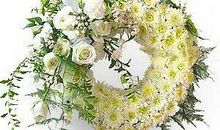 祭奠我们渐行渐远的友情