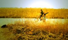 青春的旅途靠信念