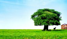 宿州的明天会更好