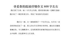 以寻觅为题的作文