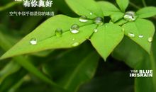 那浓浓思念的雨
