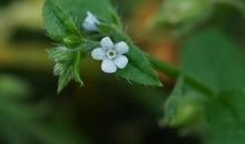 五彩斑斓的人生