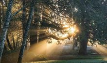 寻找冬日里最温暖的阳光