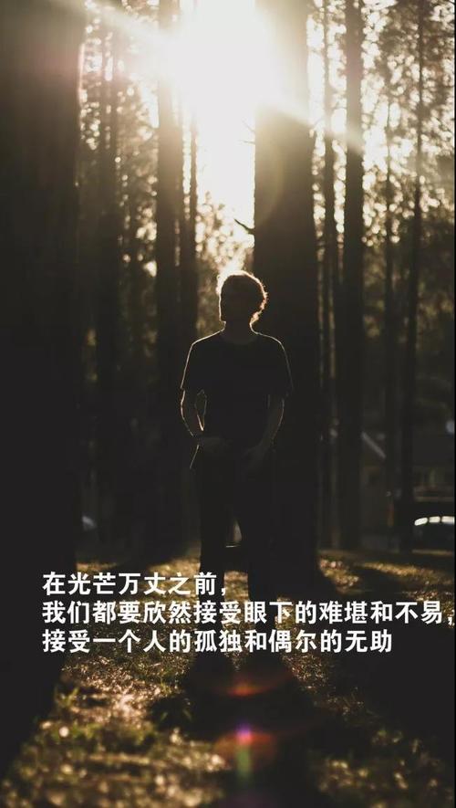 触摸我的心