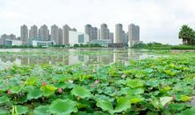 美丽的东海——我的家