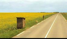 人生美丽，微笑面对