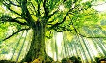 最美的景最美的心