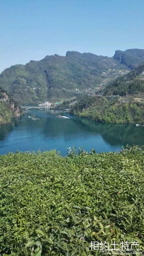 美丽的青江河